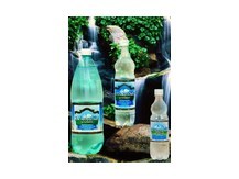 Кисловодская целебная